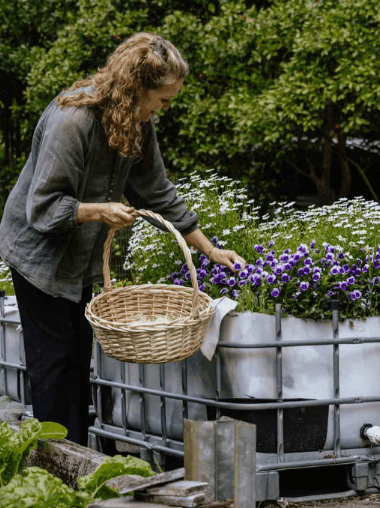 A lady with a whicker basket picking flowers from a flower bed