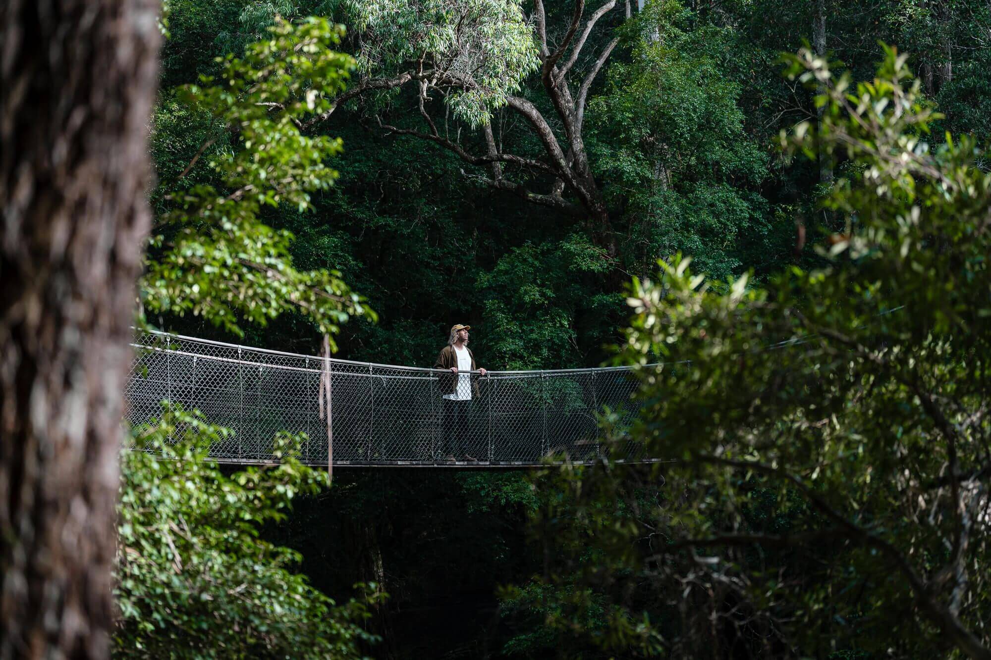 A man standing on a suspension bridge in the middle of a rainforest