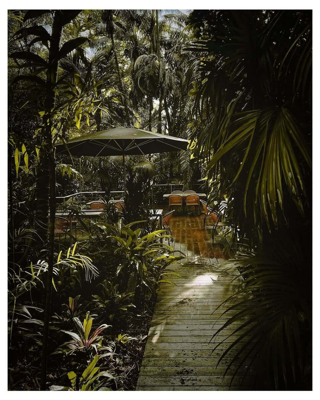 An outdoor deck with tables and chair surrounded by lush rainforest