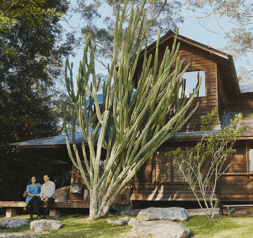 A wooden cottage with a large cactus in the front.
