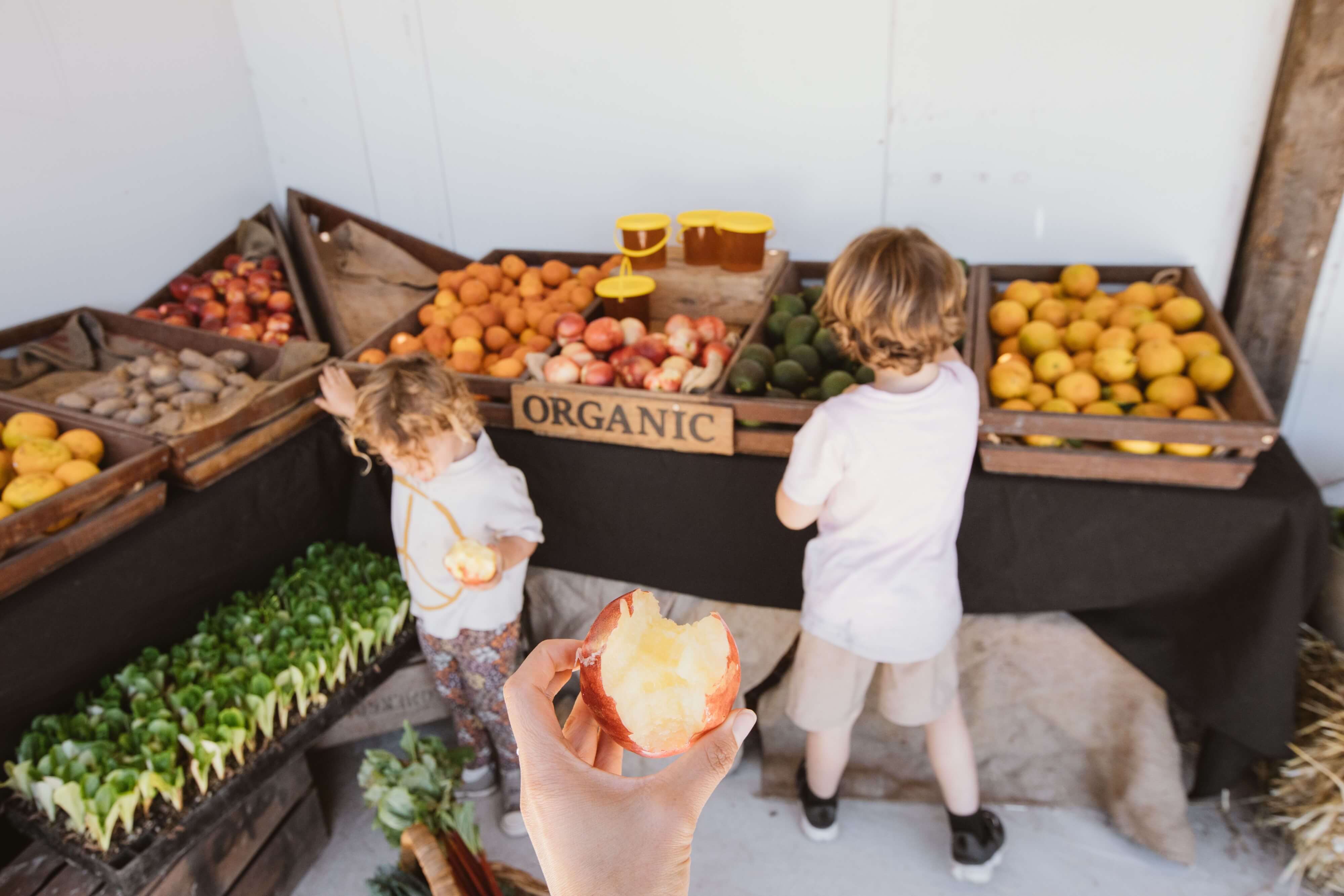 Fanelli Organics, Mangrove Mountain 