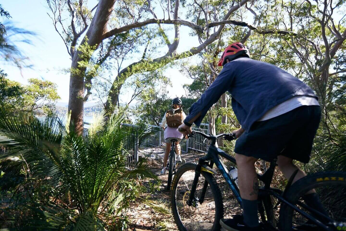 bikes in forest