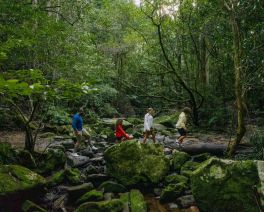 Family walking through green bushland over a creek bed with small and large rocks