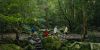 Strikland State Forest by Remy Brand x Destination Central Coast