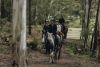 horse riding in glenworth valley 